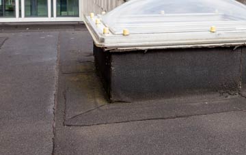 disadvantages of Sandyford flat roofs