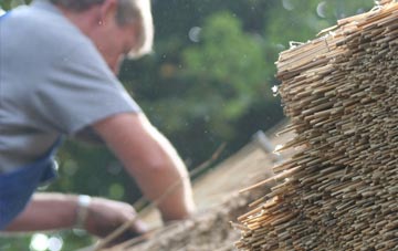 professional Sandyford thatchers