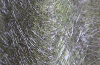 Sandyford fibreglass roof work