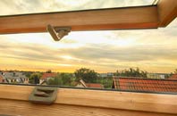 rated Sandyford roof window companies