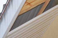 rated Sandyford soffit repair companies